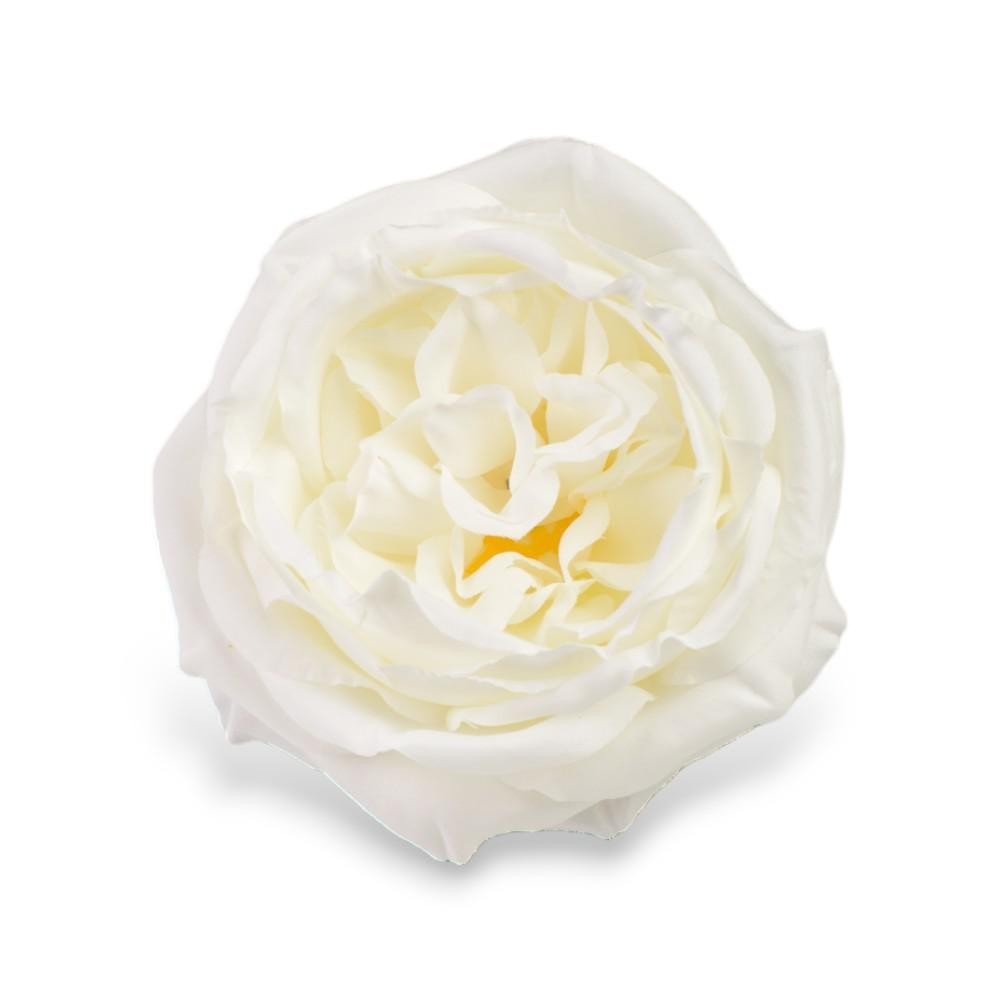 PICK ROSA CABBAGE WHITE